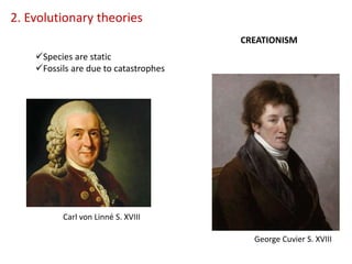 2. Evolutionary theories
Carl von Linné S. XVIII
George Cuvier S. XVIII
CREATIONISM
Species are static
Fossils are due to catastrophes
 