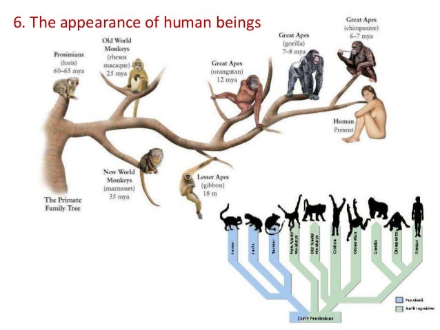 8. origin of life & evolution
