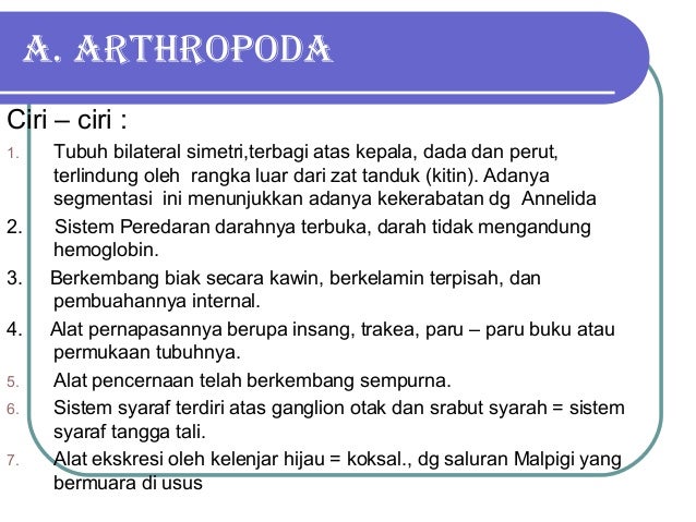 8 Arthropoda