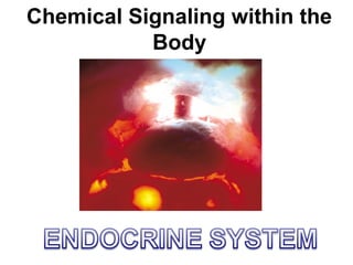 Chemical Signaling within the
Body
 