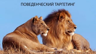 Cвітлана Козачище “Коли контексту мало”