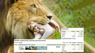 Cвітлана Козачище “Коли контексту мало”