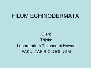 FILUM ECHINODERMATA
Oleh:
Trijoko
Laboratorium Taksonomi Hewan
FAKULTAS BIOLOGI UGM
 