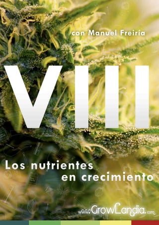 con Manuel Freiría
VIIILos nutrientes
en crecimiento
 