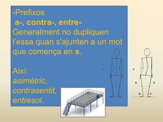 -Prefixos
a-, contra-, entre-
Generalment no dupliquen
l’essa quan s'ajunten a un mot
que comença en s.
Així:
asimètric,
contrasentit,
entresol.
 