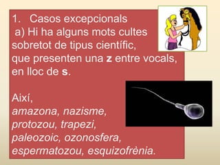 1. Casos excepcionals
a) Hi ha alguns mots cultes
sobretot de tipus científic,
que presenten una z entre vocals,
en lloc de s.
Així,
amazona, nazisme,
protozou, trapezi,
paleozoic, ozonosfera,
espermatozou, esquizofrènia.
 