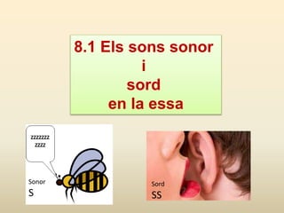 8.1 Els sons sonor
i
sord
en la essa
Sonor
S
Sord
SS
 
