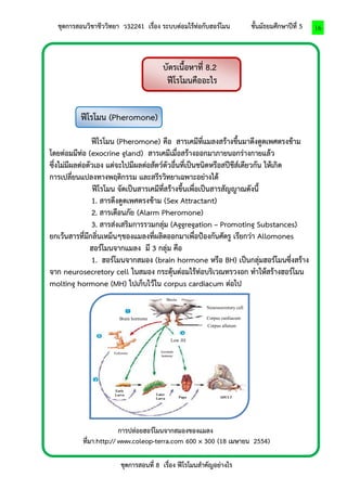 ชุดการสอนวิชาชีววิทยา ว32241 เรื่อง ระบบต่อมไร้ท่อกับฮอร์โมน ชั้นมัธยมศึกษาปีที่ 5 
ชุดการสอนที่ 8 เรื่อง ฟีโรโมนสาคัญอย่างไร 
16 
Brain 
Neurosecretory cell 
Corpus cardiacum 
Corpus allatum 
Brain hormone 
Low JH 
Ecdysone 
Juvonalo 
homone 
Early 
Larva 
Later 
Larva 
Pupa 
ADULT 
บัตรเนื้อหาที่ 8.2 
ฟีโรโมนคืออะไร 
ฟีโรโมน (Pheromone) 
ฟีโรโมน (Pheromone) คือ สารเคมีที่แมลงสร้างขึ้นมาดึงดูดเพศตรงข้าม โดยต่อมมีท่อ (exocrine gland) สารเคมีเมื่อสร้างออกมาภายนอกร่างกายแล้ว 
ซึ่งไม่มีผลต่อตัวเอง แต่จะไปมีผลต่อสัตว์ตัวอื่นที่เป็นชนิดหรือสปีชีส์เดียวกัน ให้เกิด 
การเปลี่ยนแปลงทางพฤติกรรม และสรีรวิทยาเฉพาะอย่างได้ 
ฟีโรโมน จัดเป็นสารเคมีที่สร้างขึ้นเพื่อเป็นสารสัญญาณดังนี้ 
1. สารดึงดูดเพศตรงข้าม (Sex Attractant) 
2. สารเตือนภัย (Alarm Pheromone) 
3. สารส่งเสริมการรวมกลุ่ม (Aggregation – Promoting Substances) 
ยกเว้นสารที่มีกลิ่นเหม็นๆของแมลงที่ผลิตออกมาเพื่อป้องกันศัตรู เรียกว่า Allomones 
ฮอร์โมนจากแมลง มี 3 กลุ่ม คือ 
1. ฮอร์โมนจากสมอง (brain hormone หรือ BH) เป็นกลุ่มฮอร์โมนซึ่งสร้าง จาก neurosecretory cell ในสมอง กระตุ้นต่อมไร้ท่อบริเวณทรวงอก ทาให้สร้างฮอร์โมน molting hormone (MH) ไปเก็บไว้ใน corpus cardiacum ต่อไป 
การปล่อยฮอร์โมนจากสมองของแมลง 
ที่มา:http:// www.coleop-terra.com 600 × 300 (18 เมษายน 2554) 
 