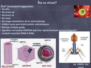 Šta su virusi? 
ВИРУСИ 
Živi? Acelularni organizmi. 
• Ne dišu 
• Ne hrane se 
• Ne kreću se 
• Ne rastu 
• Ne mogu samostalno da se razmnožavaju 
• Vidljivi samo pod elektronskim mikroskopom 
• Nemaju ćelijsku građu 
• Izgrađeni od čestice VIRIONA koji čine bjelančevinasti omotač (kapsid) i 
nasljedi materijal (DNK ili RNK) 
lat. VIROS- živi 
otrov 
 