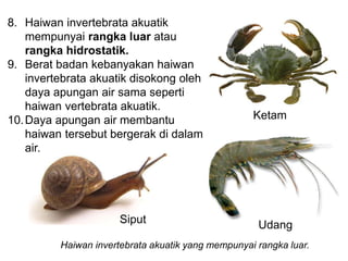 8.1 sistem sokongan haiwan | PPTX