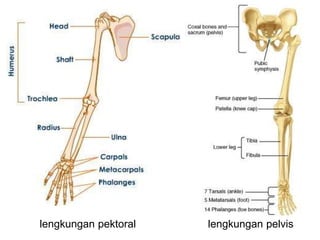 8.1 sistem sokongan haiwan