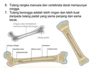 Haiwan yang mempunyai tulang berongga
