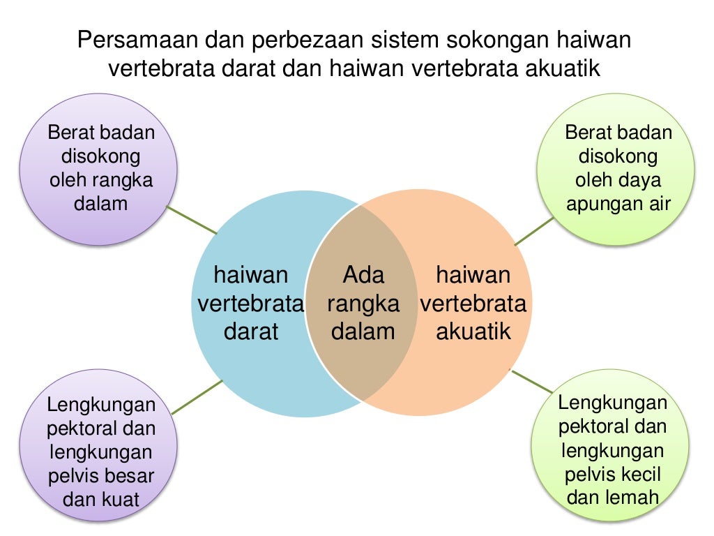 8 1 Sistem Sokongan Haiwan