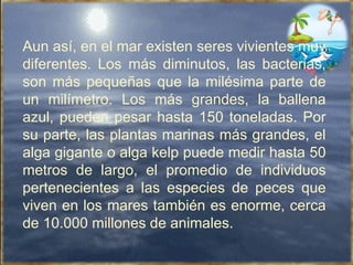 Aun así, en el mar existen seres vivientes muy diferentes. Los más diminutos, las bacterias, son más pequeñas que la milésima parte de un milímetro. Los más grandes, la ballena azul, pueden pesar hasta 150 toneladas. Por su parte, las plantas marinas más grandes, el alga gigante o alga kelp puede medir hasta 50 metros de largo, el promedio de individuos pertenecientes a las especies de peces que viven en los mares también es enorme, cerca de 10.000 millones de animales.  