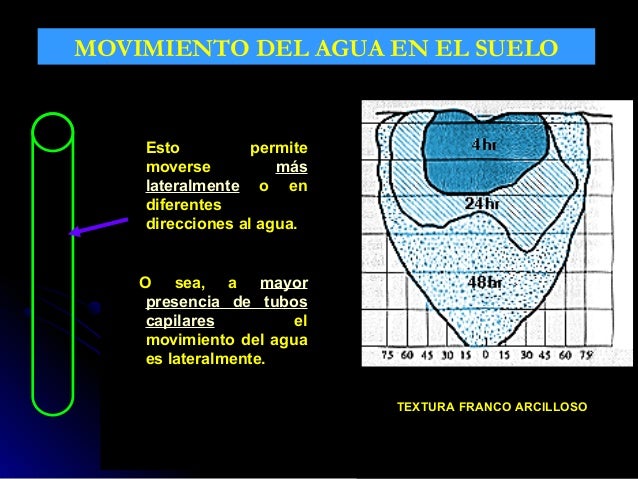8. agua del suelo.....