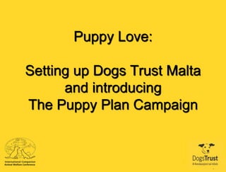 Puppy Love:
Setting up Dogs Trust Malta
and introducing
The Puppy Plan Campaign
 