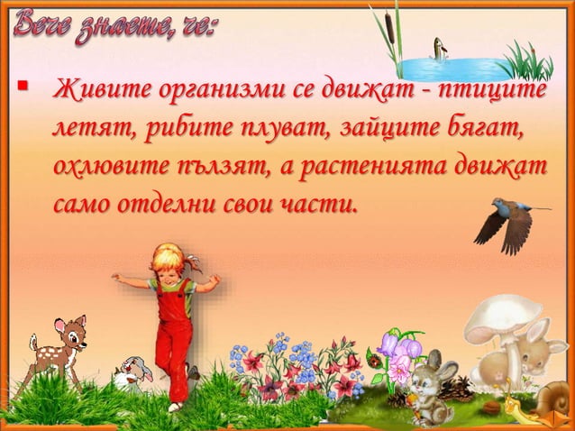 8. Движение на телата - ЧП, 4 клас, Булвест