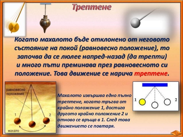 8. Движение на телата - ЧП, 4 клас, Булвест