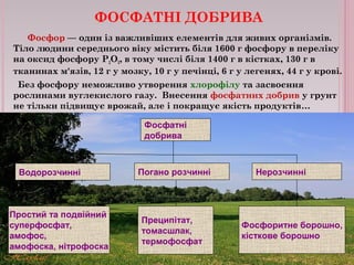 ФОСФАТНІ ДОБРИВА 
Фосфор — один із важливіших елементів для живих організмів. 
Тіло людини середнього віку містить біля 1600 г фосфору в переліку 
на оксид фосфору Р2О5, в тому числі біля 1400 г в кістках, 130 г в 
тканинах м'язів, 12 г у мозку, 10 г у печінці, 6 г у легенях, 44 г у крові. 
Без фосфору неможливо утворення хлорофілу та засвоєння 
рослинами вуглекислого газу. Внесення фосфатних добрив у грунт 
не тільки підвищує врожай, але і покращує якість продуктів… 
Фосфатні 
добрива 
Водорозчинні Погано розчинні Нерозчинні 
Фосфоритне борошно, 
кісткове борошно 
Преципітат, 
томасшлак, 
термофосфат 
Простий та подвійний 
суперфосфат, 
амофос, 
амофоска, нітрофоска 
 