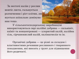 За нестачі калію у рослин 
жовтіє листя, гальмується 
розтягнення і ріст клітин, зни- 
жується апікальне домінува- 
ння тощо. 
У сільськогосподарському виробництві 
використовуються сирі калійні добрива — сильвініт, 
каїніт та концентровані — хлористий калій, калійна 
сіль, сірчанокислий калій, калімагнезія та ін. 
Органічні добрива — це різні за складом і 
властивостями речовини рослинного і тваринного 
походження, які вносять у ґрунт для підвищення 
його родючості. 
 