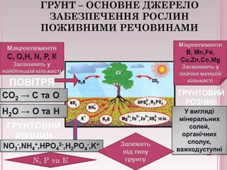 ГРУНТ – ОСНОВНЕ ДЖЕРЕЛО 
ЗАБЕЗПЕЧЕННЯ РОСЛИН 
ПОЖИВНИМИ РЕЧОВИНАМИ 
ПОВІТРЯ 
ГРУНТОВИЙ 
РОЗЧИН 
N, P та К 
ГРУНТОВИЙ 
РОЗЧИН 
 