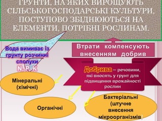 ГРУНТИ, НА ЯКИХ ВИРОЩУЮТЬ 
СІЛЬСЬКОГОСПОДАРСЬКІ КУЛЬТУРИ, 
ПОСТУПОВО ЗБІДНЮЮТЬСЯ НА 
ЕЛЕМЕНТИ, ПОТРІБНІ РОСЛИНАМ. 
 
