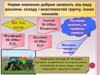 На 1га 
поля: 
Азотні 
30-100кг 
Нітрогену 
Калійні 
45-90кг 
К2О 
Фосфорні 
60-100кг 
Р2О5 Малороз 
чинні - 
восени 
 