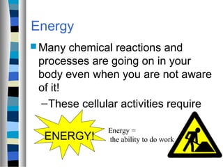 8.1 How Organisms Obtain Energy 2014 | PPT