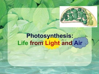 Photosynthesis: 
Life from Light and Air 
 