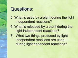 Questions: 
5. What is used by a plant during the light 
independent reactions? 
6. What is released by a plant during the 
light independent reactions? 
7. What two things produced by light 
independent reactions are used 
during light dependent reactions? 
