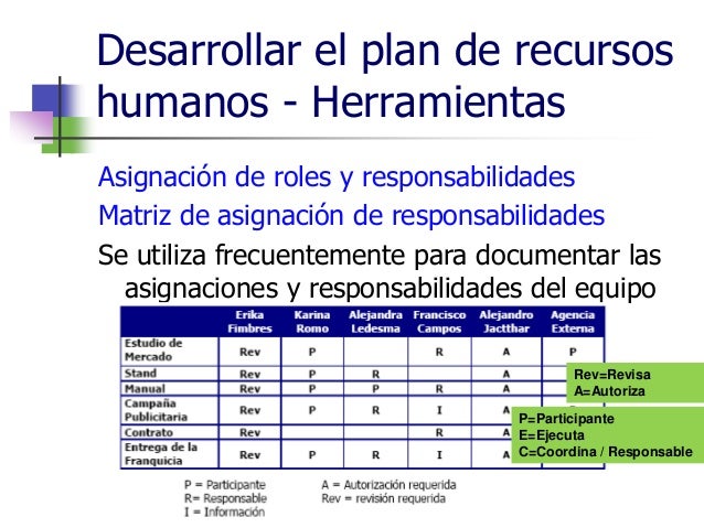 8. gestión de los recursos humanos del proyecto