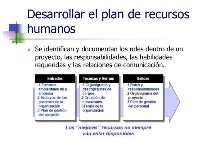 8. gestión de los recursos humanos del proyecto