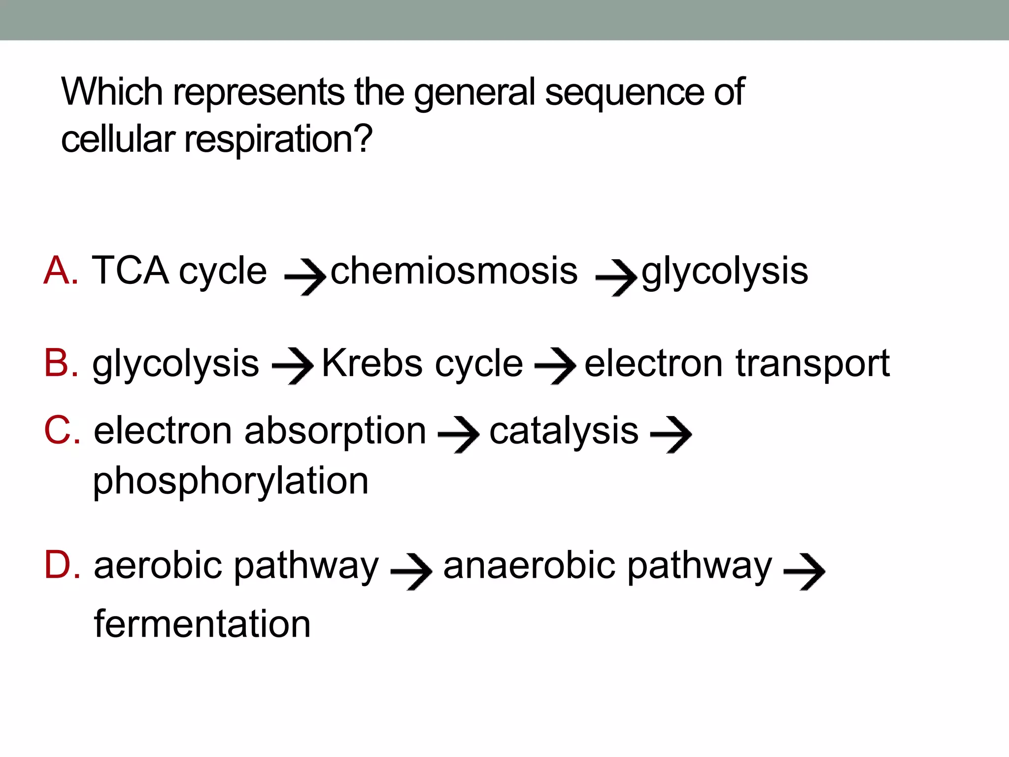 8.2 Cellular Respiration 2014 | PPTX