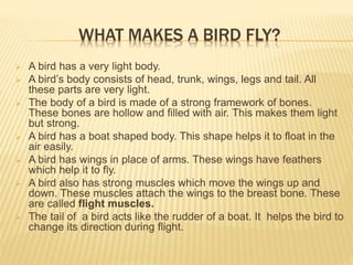 WHAT MAKES A BIRD FLY? 
 A bird has a very light body. 
 A bird’s body consists of head, trunk, wings, legs and tail. All 
these parts are very light. 
 The body of a bird is made of a strong framework of bones. 
These bones are hollow and filled with air. This makes them light 
but strong. 
 A bird has a boat shaped body. This shape helps it to float in the 
air easily. 
 A bird has wings in place of arms. These wings have feathers 
which help it to fly. 
 A bird also has strong muscles which move the wings up and 
down. These muscles attach the wings to the breast bone. These 
are called flight muscles. 
 The tail of a bird acts like the rudder of a boat. It helps the bird to 
change its direction during flight. 
 