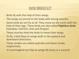 HOW BIRDS FLY? 
 Birds fly with the help of their wings. 
 The wings are joined to the body with strong muscles. 
 Some birds do not fly at all. They move on the earth with the 
help of their legs. These birds are also called Flightless birds. 
Examples: Ostritch, Kiwi and Penguin 
 These muscles help the birds to move their wings. 
 To fly, a bird flaps its wings both in the upward and 
downward directions. 
 These strokes are called upstroke and down stroke, 
respectively. 
 A hummingbird can flap its wings 90 times in a second! 
 