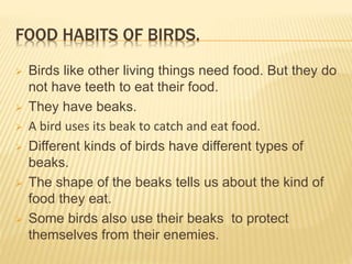 FOOD HABITS OF BIRDS. 
 Birds like other living things need food. But they do 
not have teeth to eat their food. 
 They have beaks. 
 A bird uses its beak to catch and eat food. 
 Different kinds of birds have different types of 
beaks. 
 The shape of the beaks tells us about the kind of 
food they eat. 
 Some birds also use their beaks to protect 
themselves from their enemies. 
 