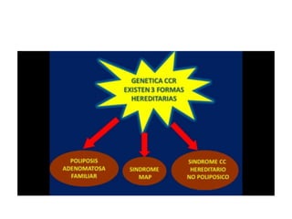 8.  patologia colo rectal