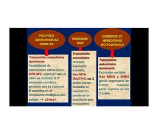 8.  patologia colo rectal