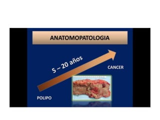 8.  patologia colo rectal