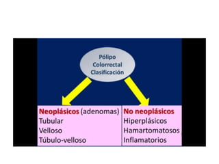 8.  patologia colo rectal