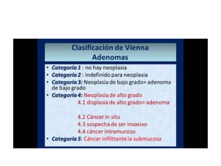8.  patologia colo rectal