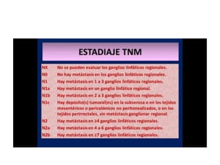 8.  patologia colo rectal