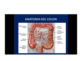 8.  patologia colo rectal