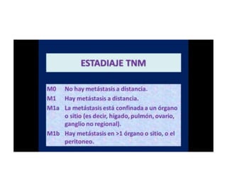 8.  patologia colo rectal