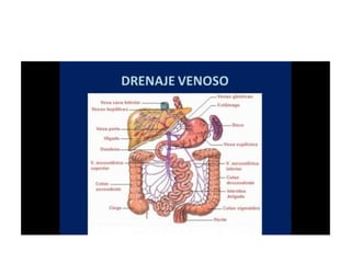 8.  patologia colo rectal