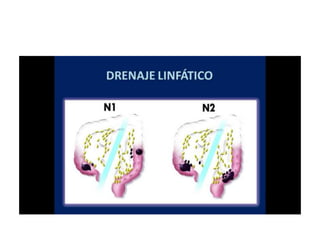 8.  patologia colo rectal