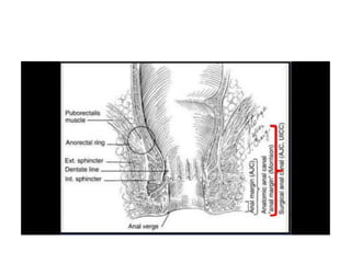 8.  patologia colo rectal