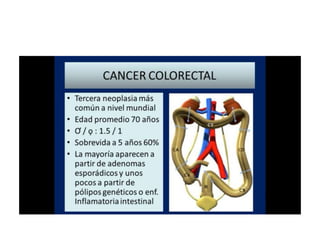 8.  patologia colo rectal