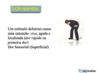 Grendene 
DOR RÁPIDA 
Um estímulo doloroso causa 
uma sensação viva, aguda e 
localizada (dor rápida ou 
primeira dor) 
Dor Sensorial (Superficial) 
 
