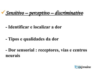 Sensitivo – perceptivo – discriminativo 
Grendene 
- Identificar e localizar a dor 
- Tipos e qualidades da dor 
- Dor sensorial : receptores, vias e centros 
neurais 
 